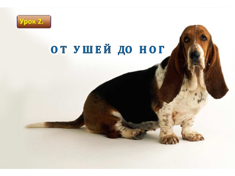 О Т   У Ш Е Й   ДО   Н